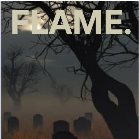 front cover of flame issue 5 meadowhead students' journal